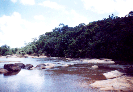 Rio na região da Mata Atlântica Baiana